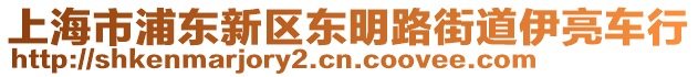 上海市浦東新區東明路街道伊亮車行