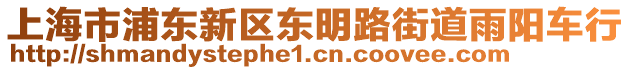 上海市浦東新區(qū)東明路街道雨陽車行