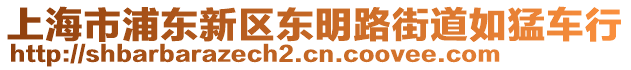 上海市浦東新區(qū)東明路街道如猛車行