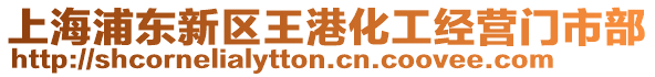 上海浦東新區(qū)王港化工經(jīng)營門市部