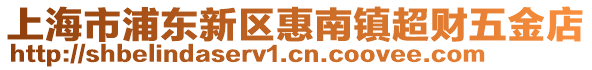 上海市浦東新區(qū)惠南鎮(zhèn)超財五金店