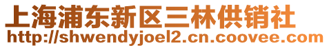 上海浦東新區三林供銷社
