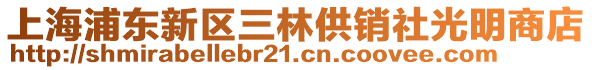上海浦東新區三林供銷社光明商店