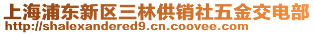 上海浦東新區三林供銷社五金交電部