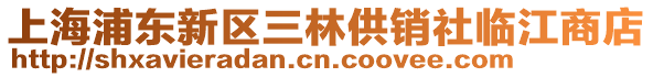 上海浦東新區三林供銷社臨江商店