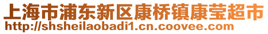 上海市浦東新區康橋鎮康瑩超市