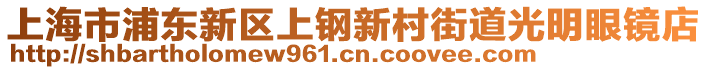 上海市浦東新區上鋼新村街道光明眼鏡店