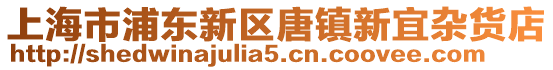 上海市浦東新區唐鎮新宜雜貨店