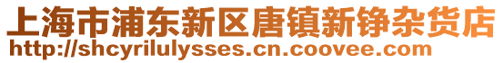上海市浦東新區唐鎮新錚雜貨店