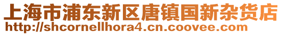 上海市浦東新區(qū)唐鎮(zhèn)國(guó)新雜貨店