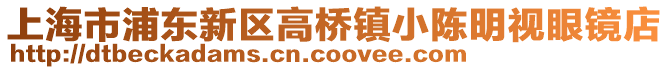 上海市浦東新區高橋鎮小陳明視眼鏡店