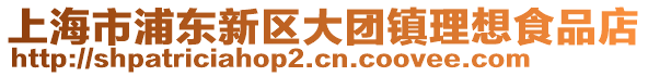 上海市浦東新區(qū)大團(tuán)鎮(zhèn)理想食品店