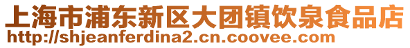 上海市浦東新區大團鎮飲泉食品店