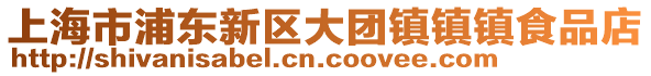上海市浦東新區大團鎮鎮鎮食品店