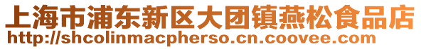 上海市浦東新區(qū)大團(tuán)鎮(zhèn)燕松食品店