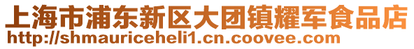 上海市浦東新區大團鎮耀軍食品店