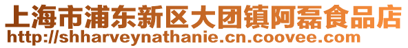 上海市浦東新區大團鎮阿磊食品店