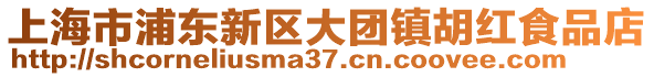 上海市浦東新區(qū)大團鎮(zhèn)胡紅食品店