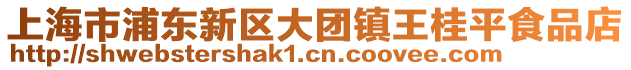 上海市浦東新區大團鎮王桂平食品店