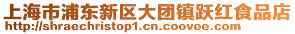上海市浦東新區(qū)大團鎮(zhèn)躍紅食品店