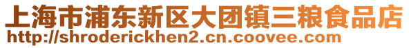 上海市浦東新區(qū)大團(tuán)鎮(zhèn)三糧食品店
