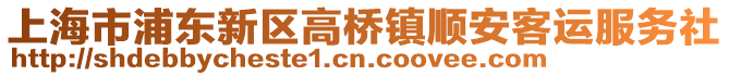 上海市浦東新區(qū)高橋鎮(zhèn)順安客運(yùn)服務(wù)社