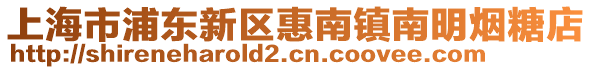 上海市浦東新區(qū)惠南鎮(zhèn)南明煙糖店