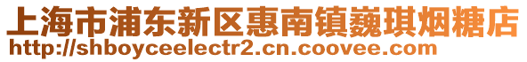 上海市浦東新區惠南鎮巍琪煙糖店