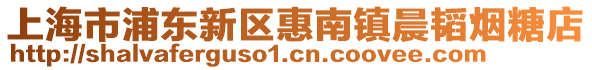 上海市浦東新區(qū)惠南鎮(zhèn)晨韜煙糖店