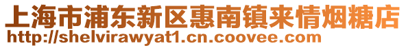 上海市浦東新區惠南鎮來情煙糖店