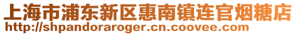 上海市浦東新區(qū)惠南鎮(zhèn)連官煙糖店