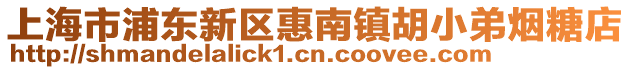 上海市浦東新區(qū)惠南鎮(zhèn)胡小弟煙糖店
