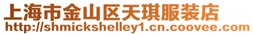 上海市金山區(qū)天琪服裝店