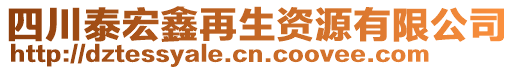 四川泰宏鑫再生資源有限公司