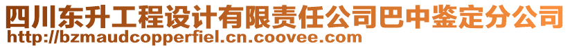 四川東升工程設計有限責任公司巴中鑒定分公司