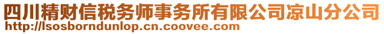 四川精財(cái)信稅務(wù)師事務(wù)所有限公司涼山分公司