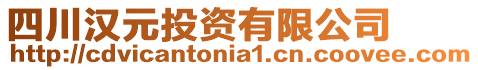 四川漢元投資有限公司