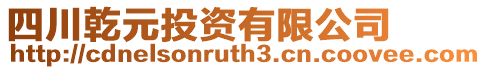 四川乾元投資有限公司