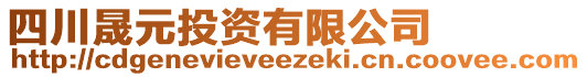 四川晟元投資有限公司