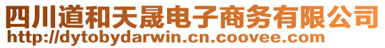 四川道和天晟電子商務(wù)有限公司