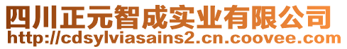 四川正元智成實(shí)業(yè)有限公司