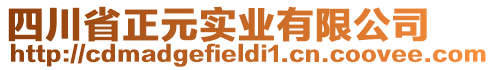 四川省正元實業(yè)有限公司