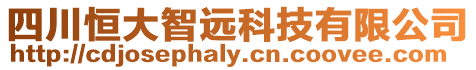 四川恒大智遠科技有限公司