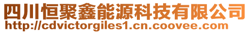 四川恒聚鑫能源科技有限公司