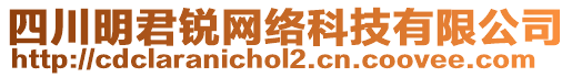 四川明君銳網絡科技有限公司