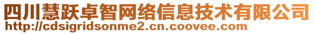 四川慧躍卓智網(wǎng)絡(luò)信息技術(shù)有限公司