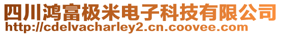 四川鴻富極米電子科技有限公司