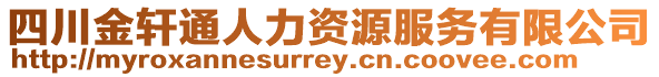 四川金軒通人力資源服務有限公司