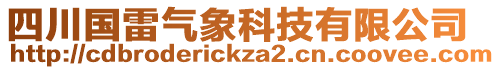 四川國(guó)雷氣象科技有限公司