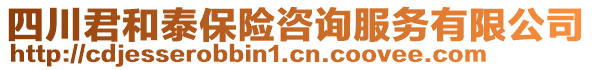 四川君和泰保險(xiǎn)咨詢服務(wù)有限公司